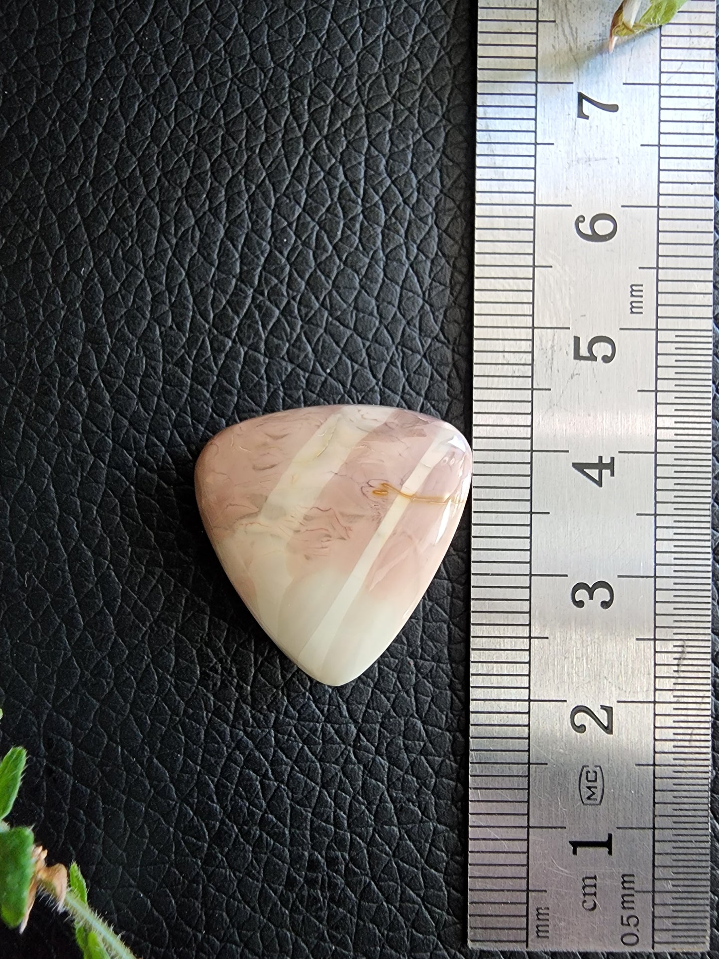 Willow creek jasper cabochon