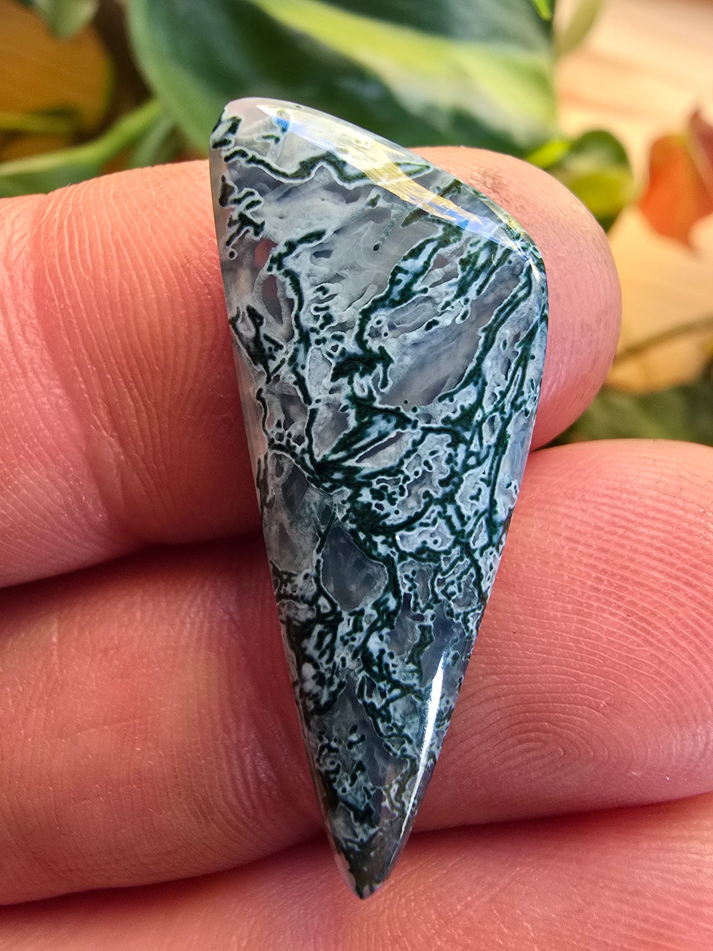 Central Idaho Moss Agate