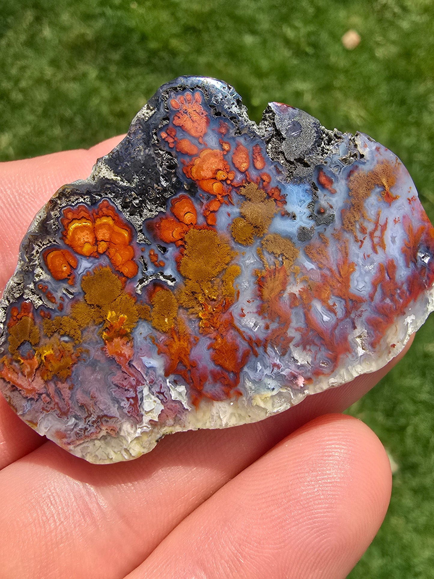 Wingate Pass Plume Agate - Polished Specimen