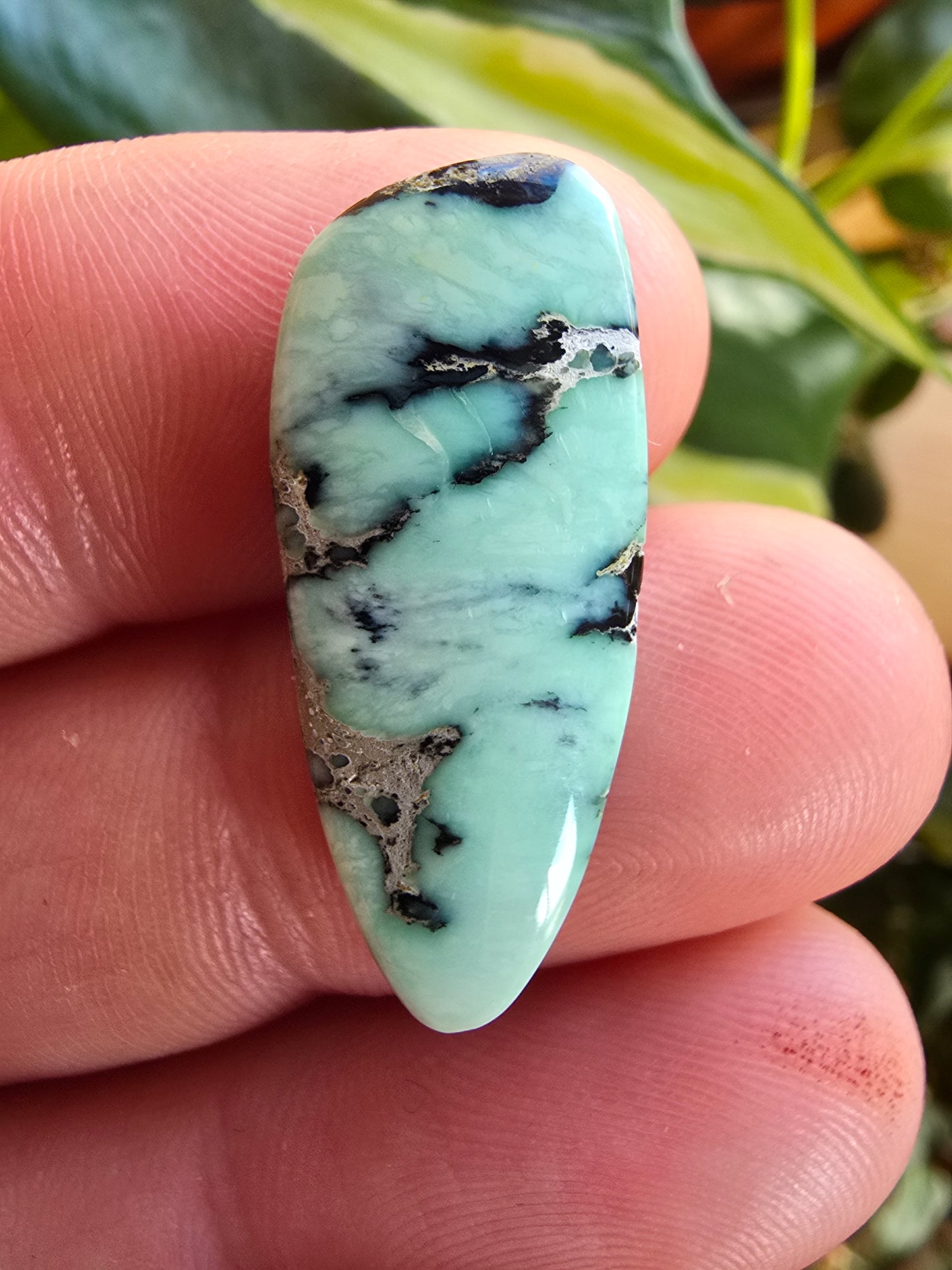 Angel Wing Variscite