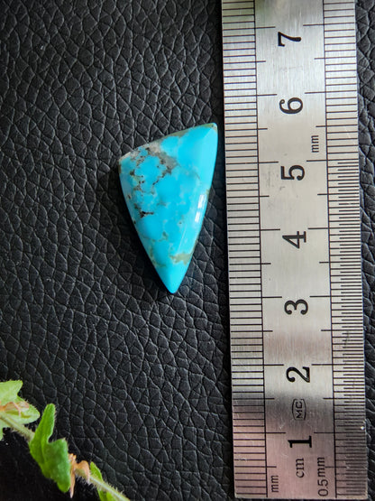 Kingman turquoise