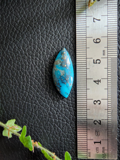 Kingman turquoise