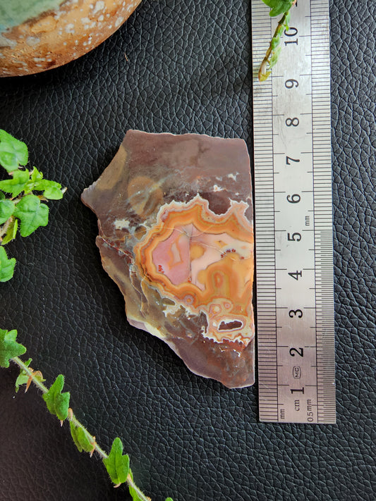 Dryhead agate polished slab