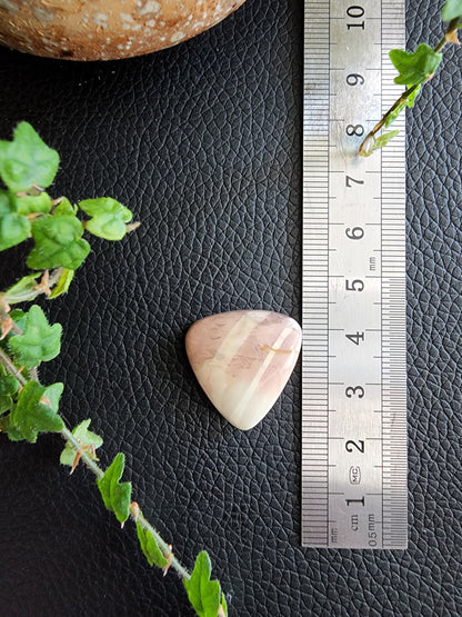 Willow creek jasper cabochon