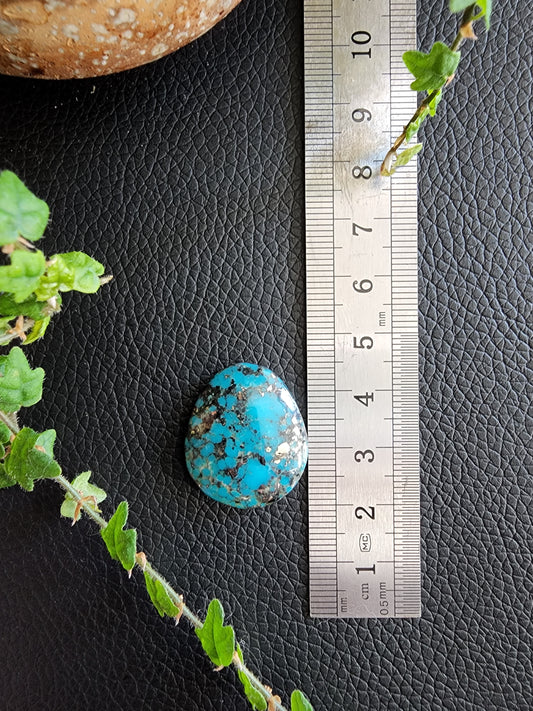 Campitos turquoise cabochon