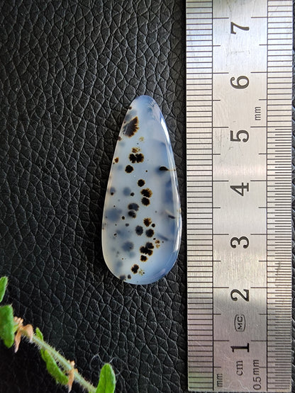 Montana moss agate cabochon