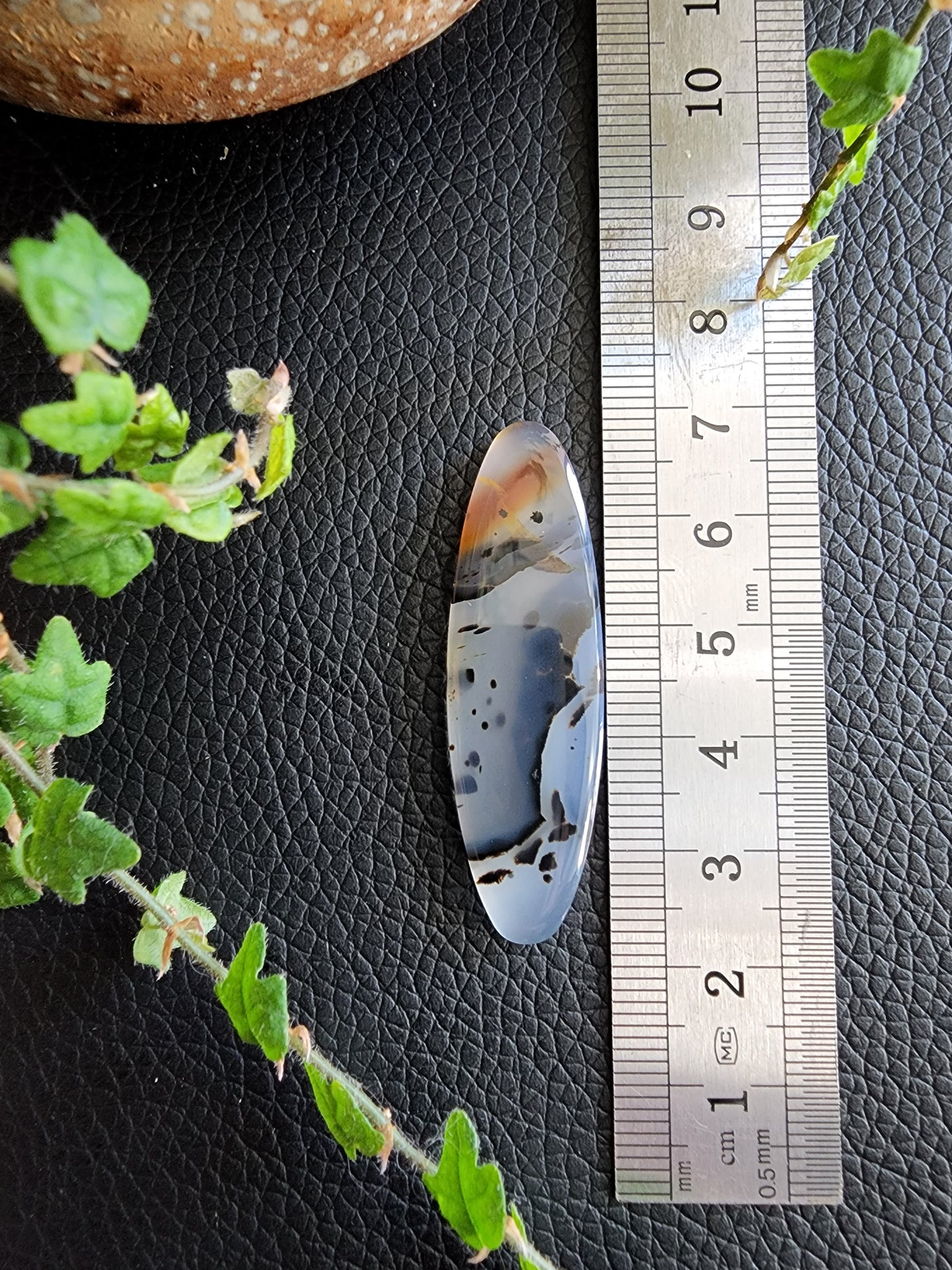 Montana moss agate cabochon