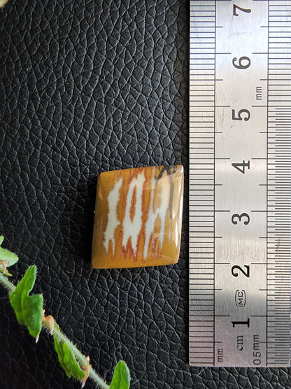 Gem owyhee picture jasper