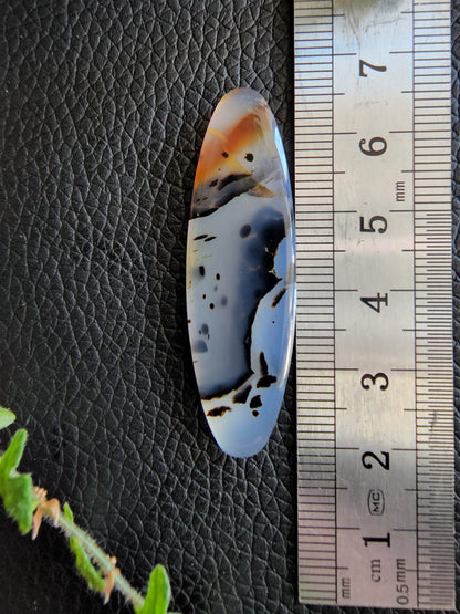 Montana moss agate cabochon