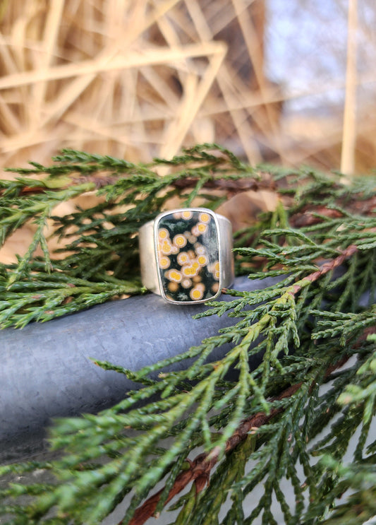 Ocean Jasper |size 8|