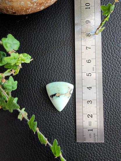 Angel wing variscite cabochon