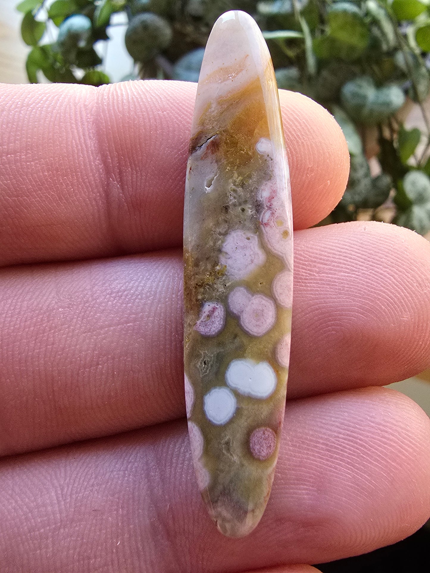 Ocean Jasper