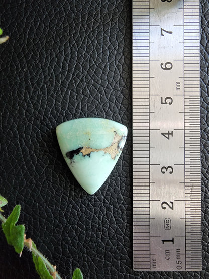 Angel wing variscite cabochon