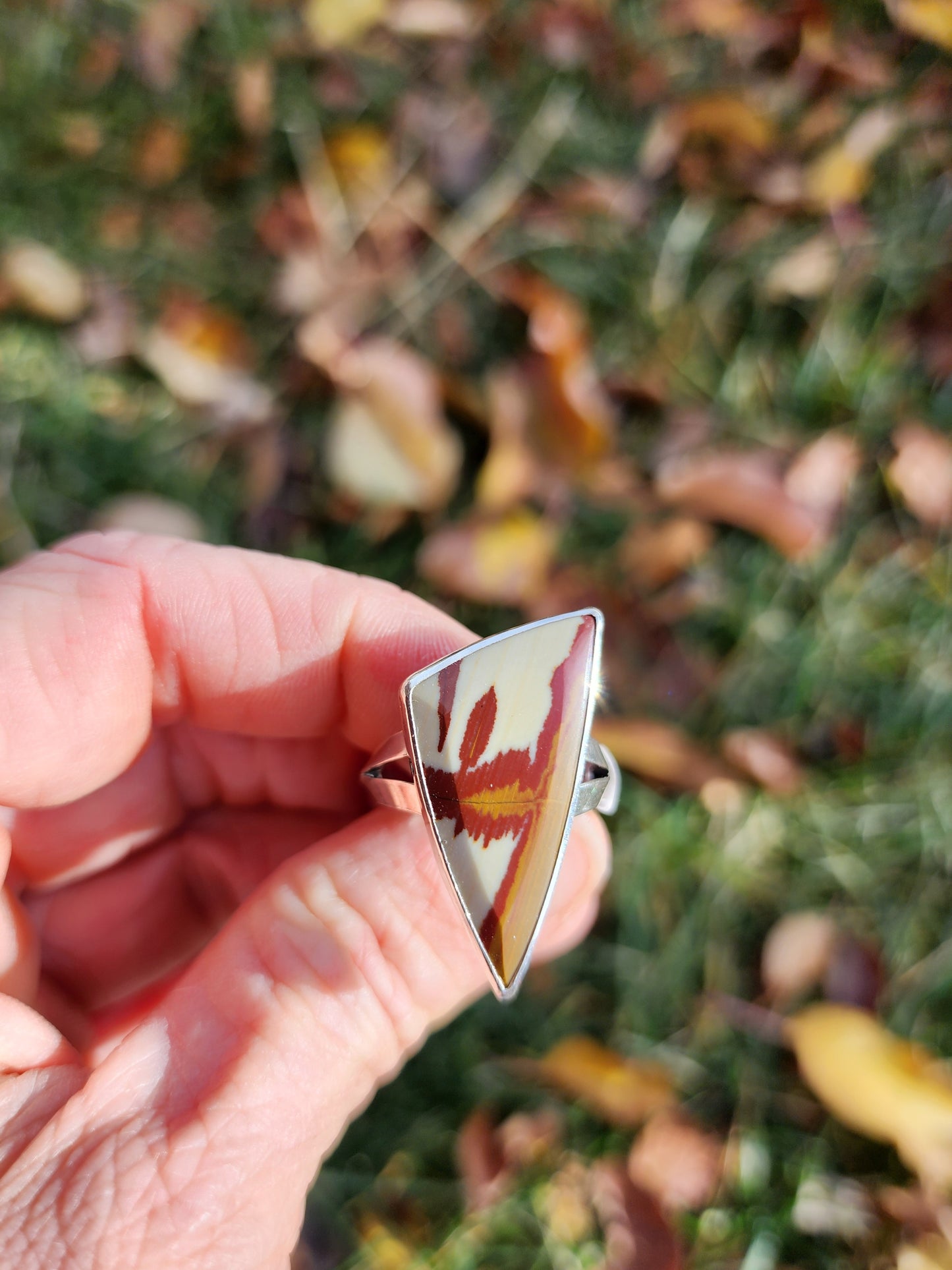 Owyhee Picture Jasper |size 8.5 |