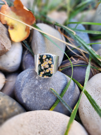 Ocean Jasper |size 8|