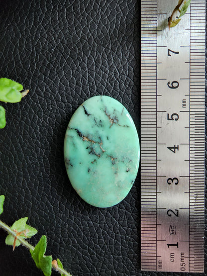 Angel wing variscite