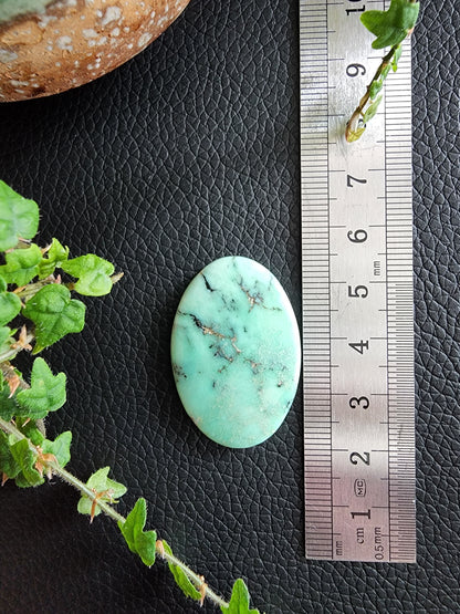 Angel wing variscite