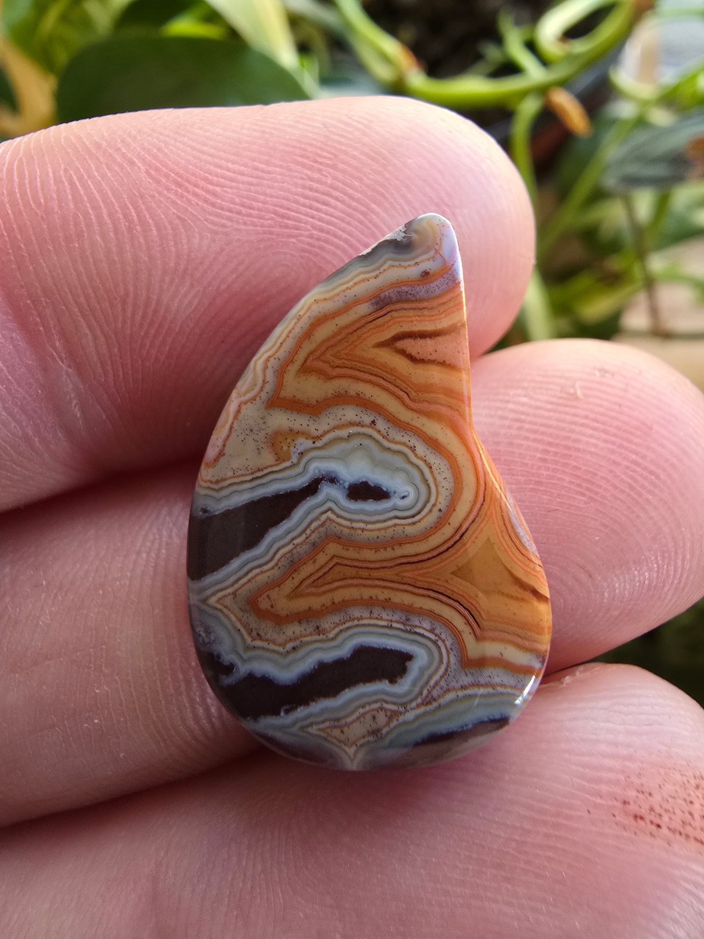 Dryhead Agate