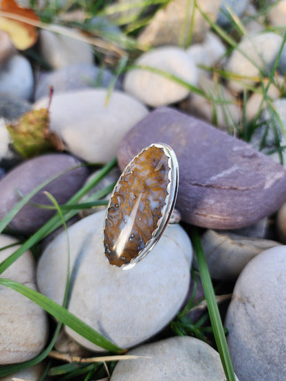 Mexican Moss |size 8.5|