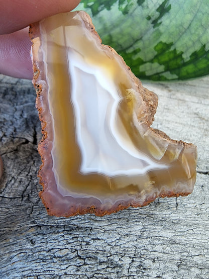 Moroccan agate polished end piece